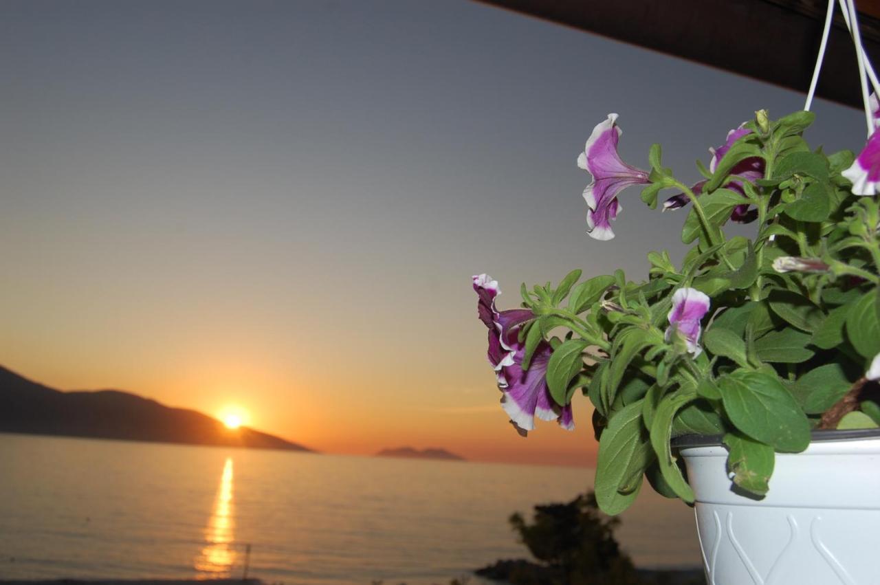Ramosaco Hotel Radhimë
